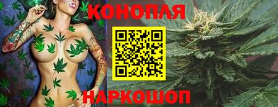 мдпв Краснодар