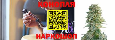 spice Краснознаменск