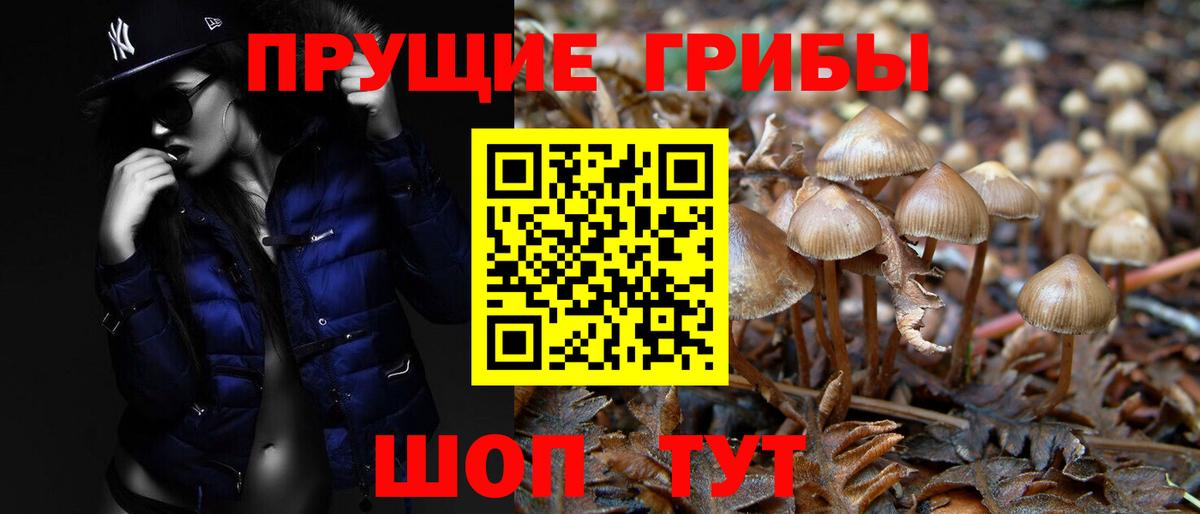 Псилоцибиновые грибы ЛСД  Вход с VPN  Галлюциногенные грибы Cubensis  Углич 